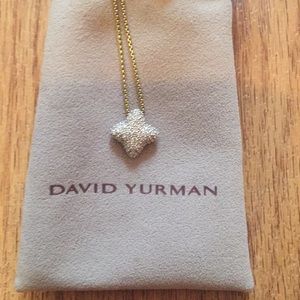 David Yurman Gold Chain with Silver Star Pendant